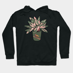 Stromanthe Houseplant Hoodie